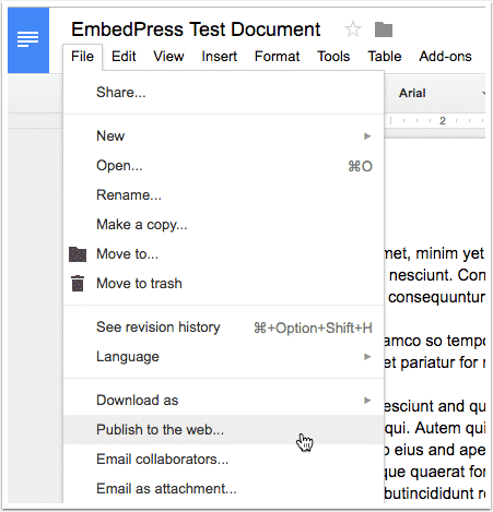 Embed Google Docs i