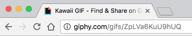 How to Embed Giphy GIFs in WordPress