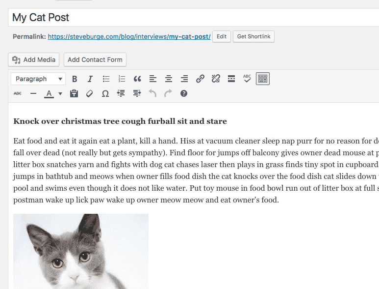 A WordPress post, moved from Google Docs