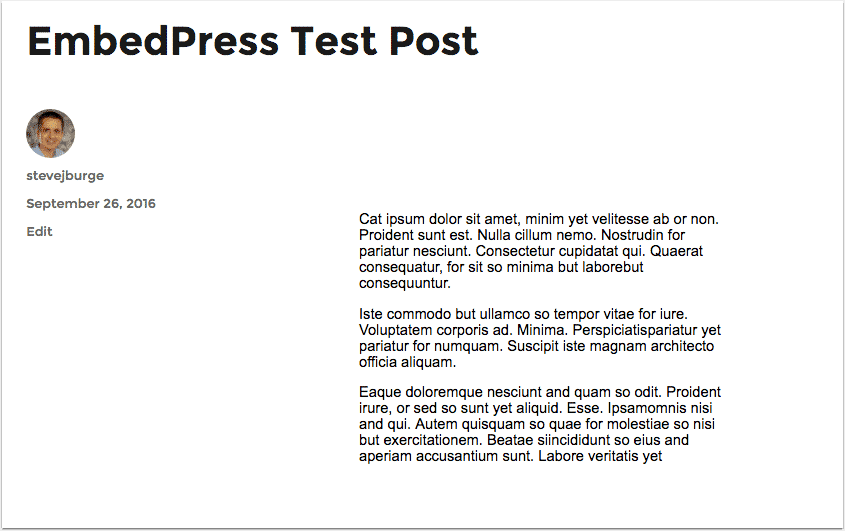 A Google Docs Embed in WordPress