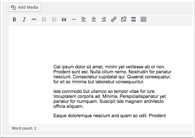 A Google Docs Embed in the WordPress editor area
