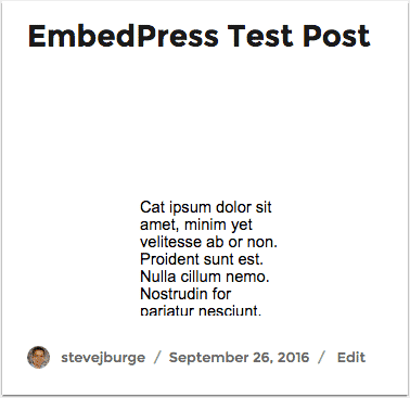 Responsive Google Docs Embeds in a WordPress post