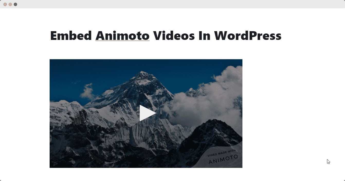 How to Embed Animoto Videos in WordPress