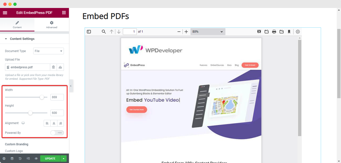 embed PDF file