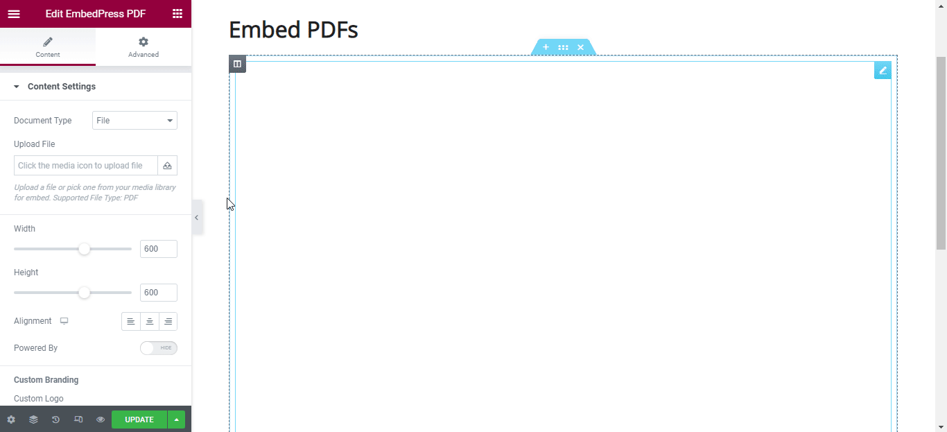 embed PDF file