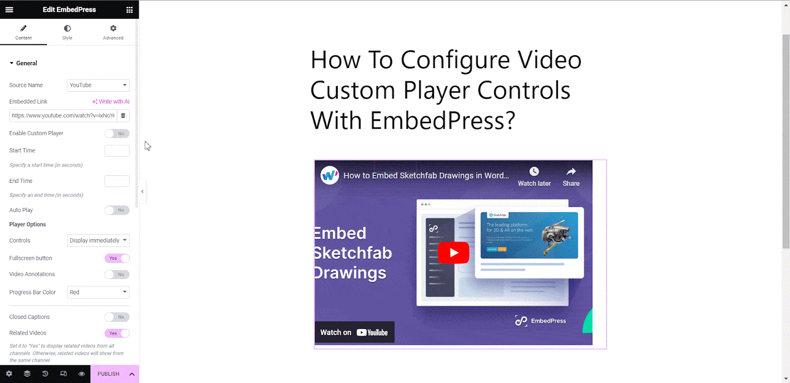 video custom player