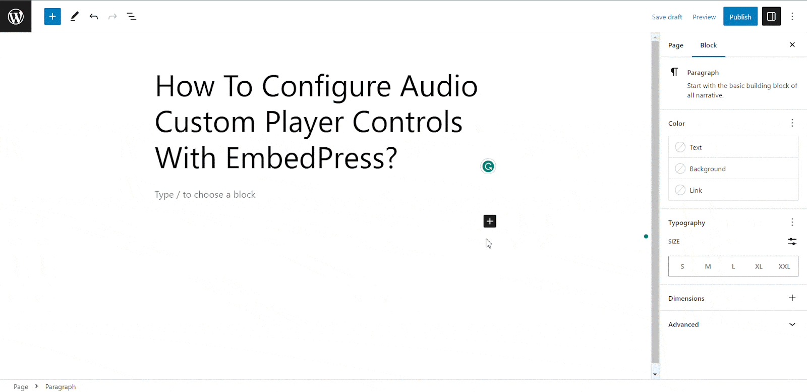 Audio Custom Player