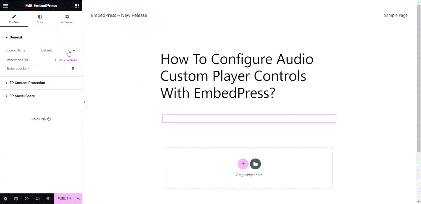 Audio Custom Player