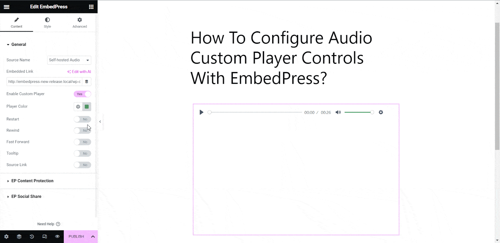 Audio Custom Player