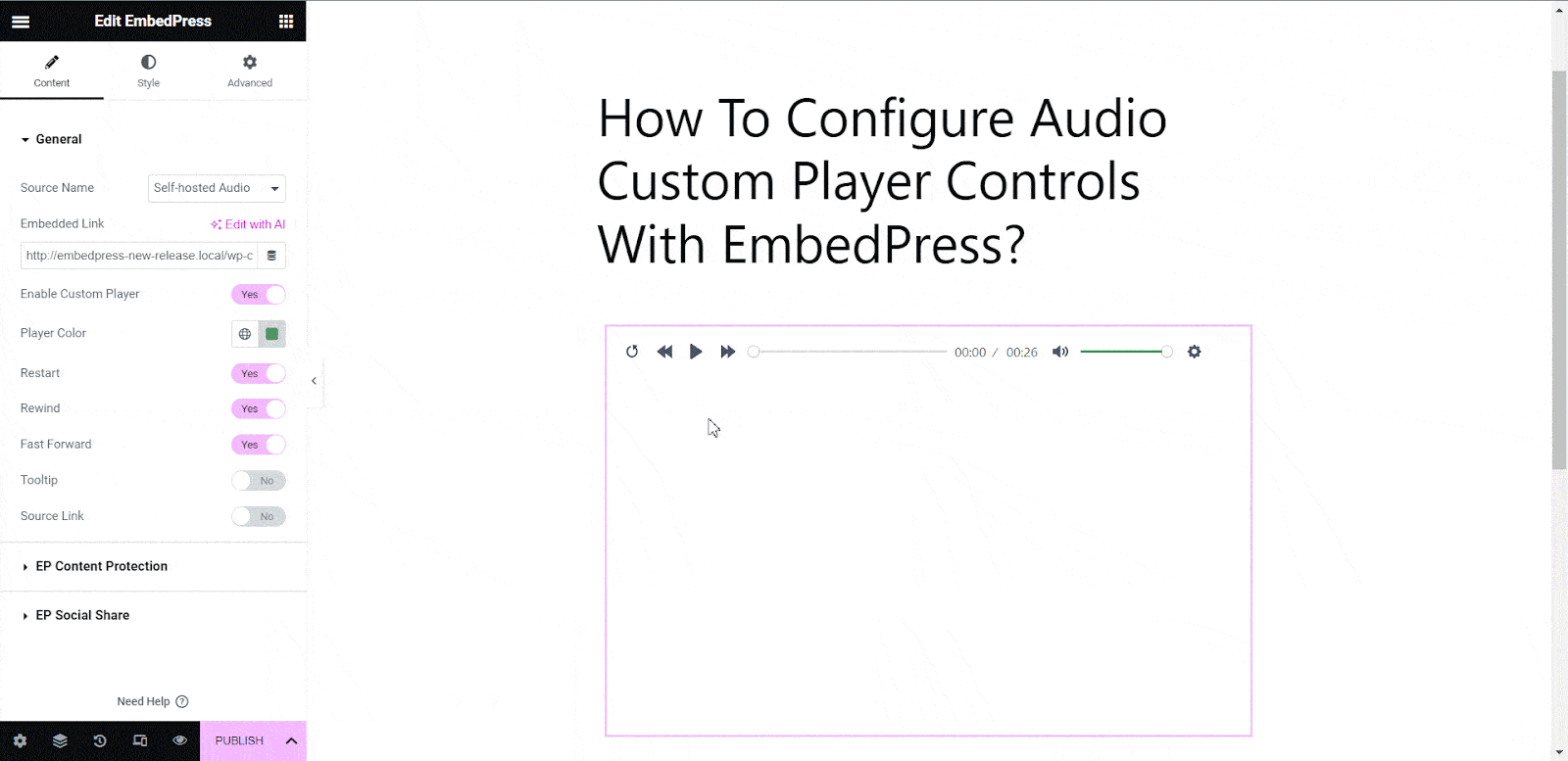 Audio Custom Player