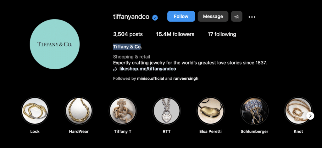 10+ Creative Instagram Bio Ideas To Generate More Engagement