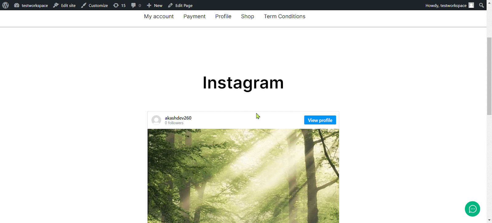 Embed Instagram Feeds