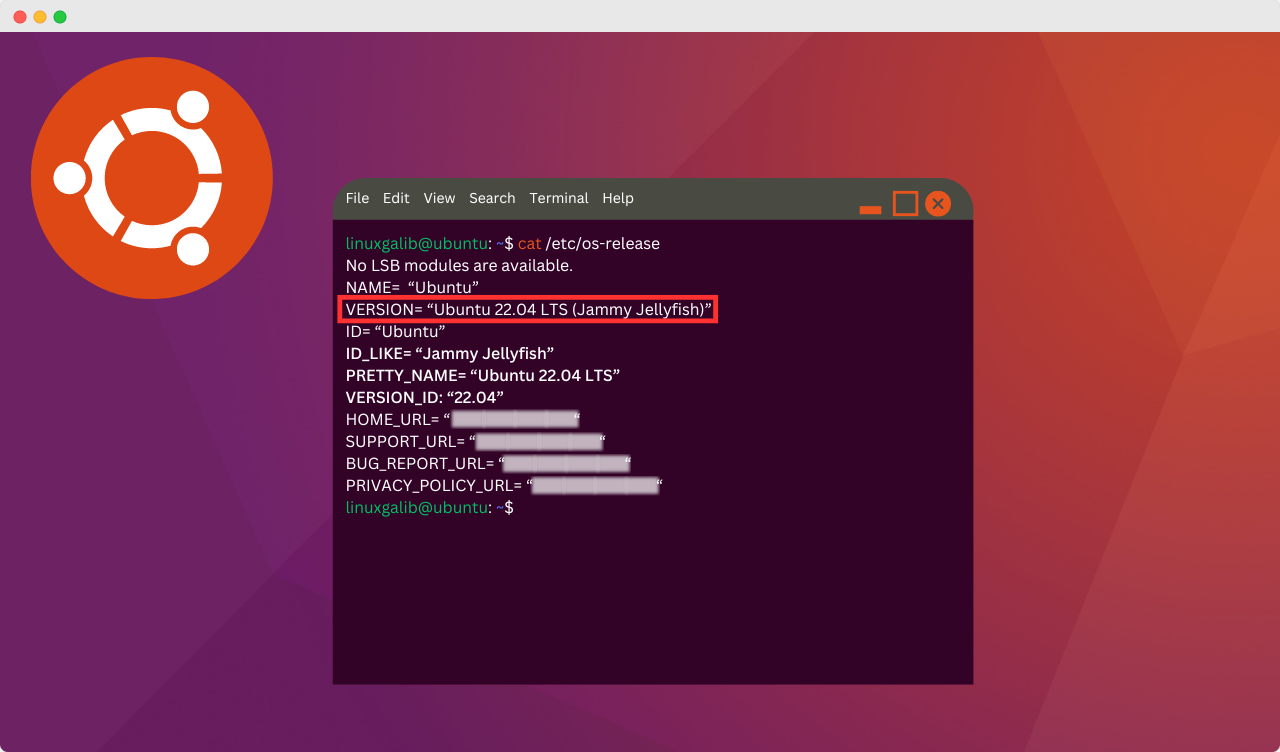 Check Your Ubuntu Version