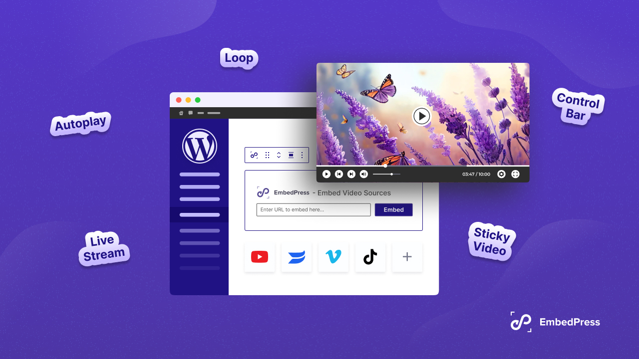 From YouTube to Vimeo: How to Embed Different Video Platforms in WordPress