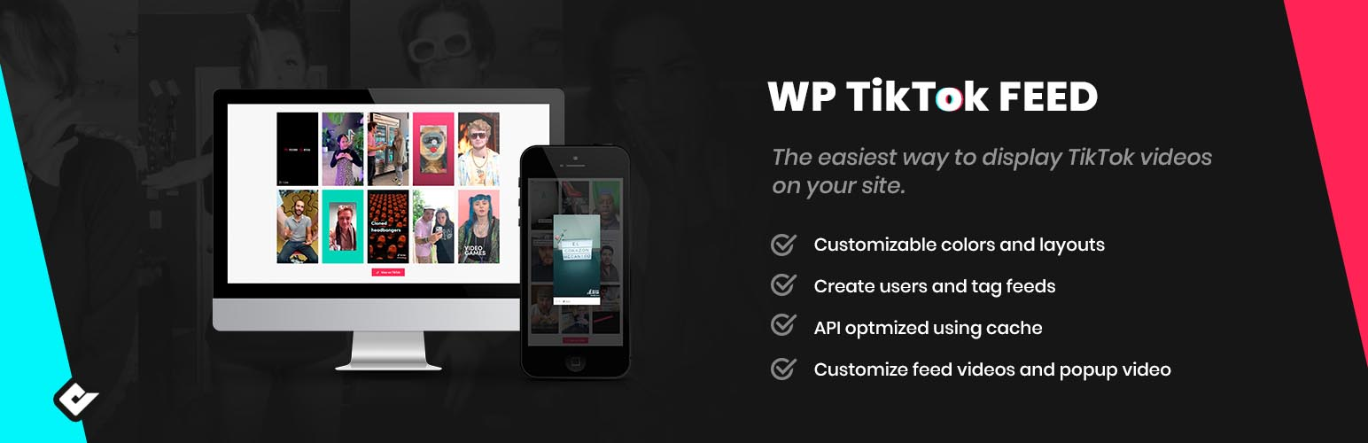 TikTok Plugins for WordPress