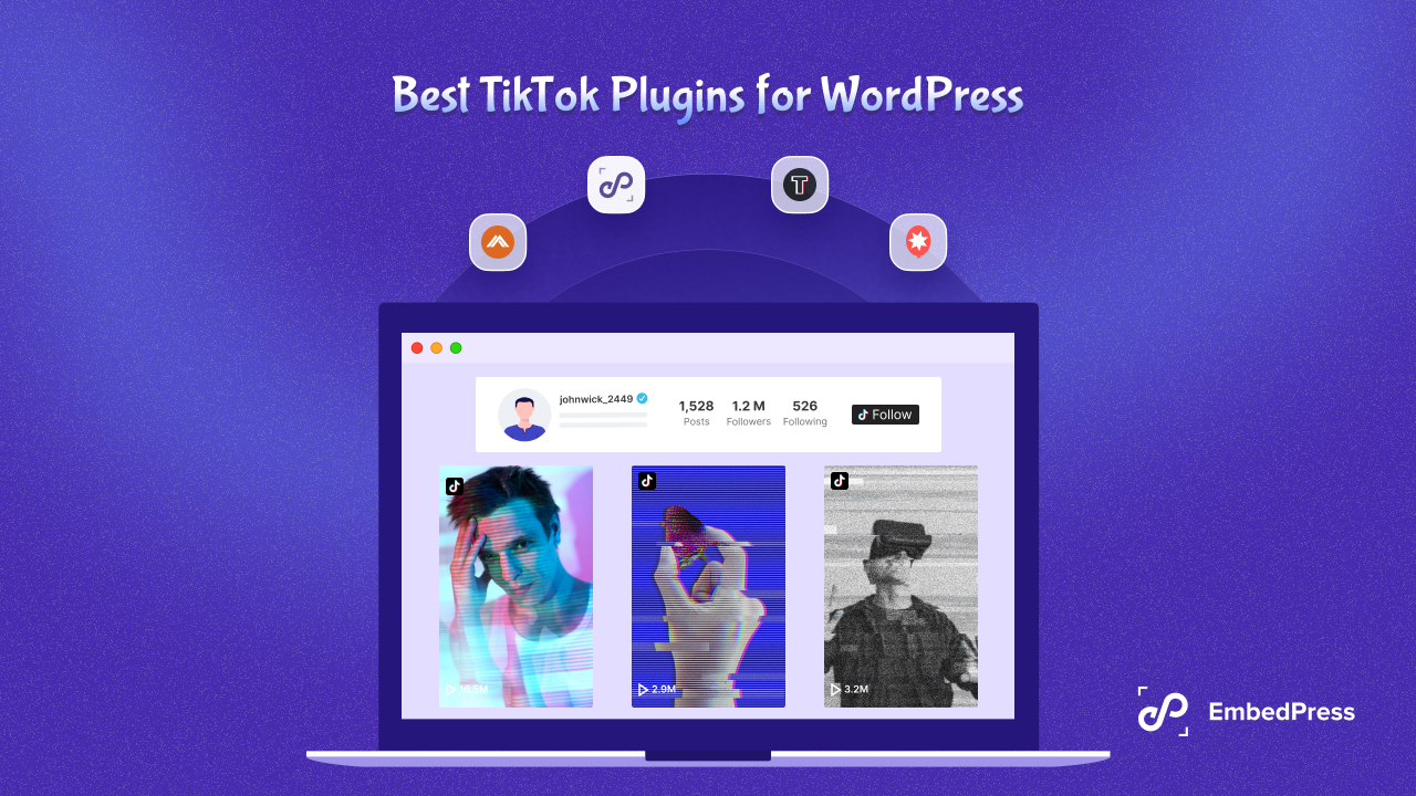 WordPress TikTok Plugins