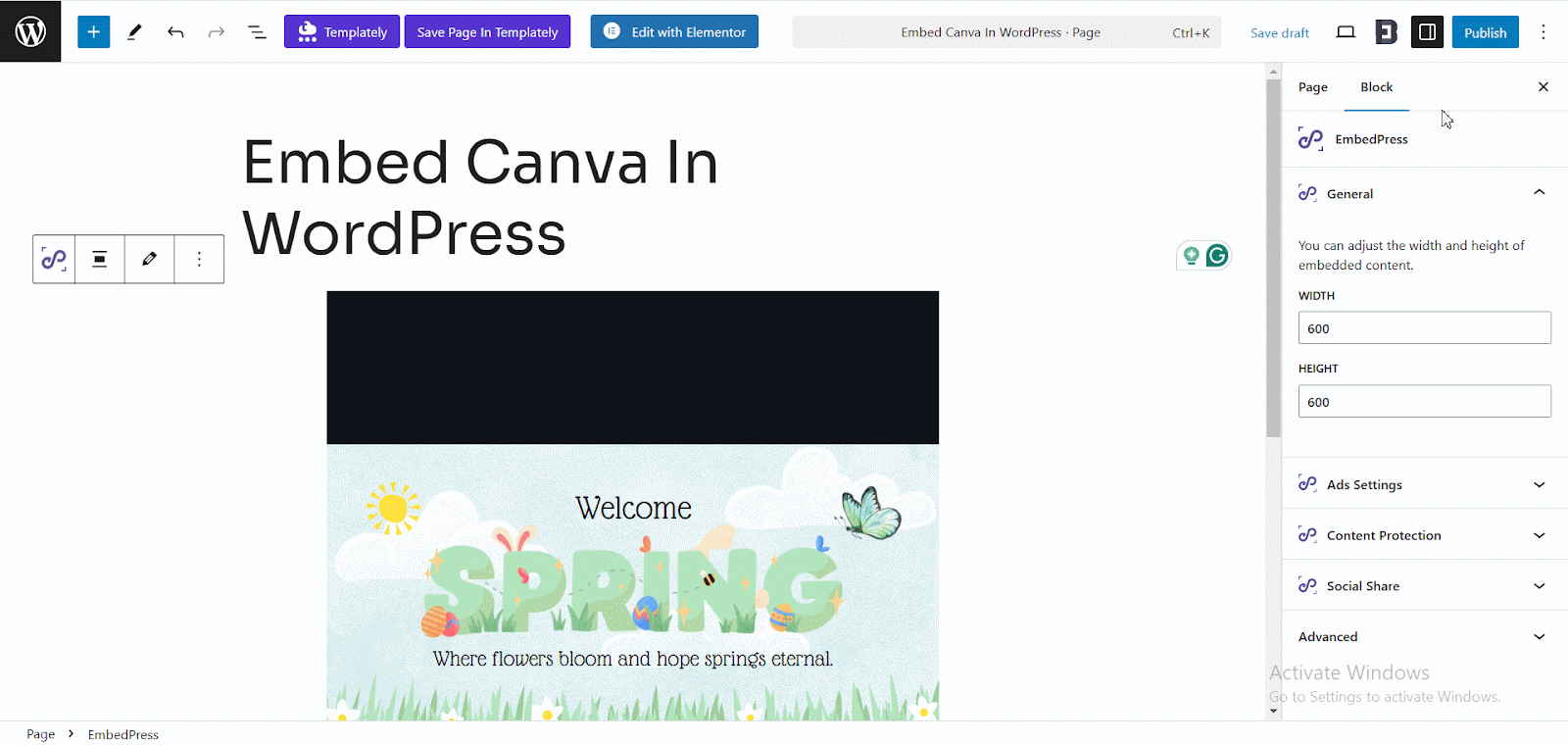 embed Canva In WordPress