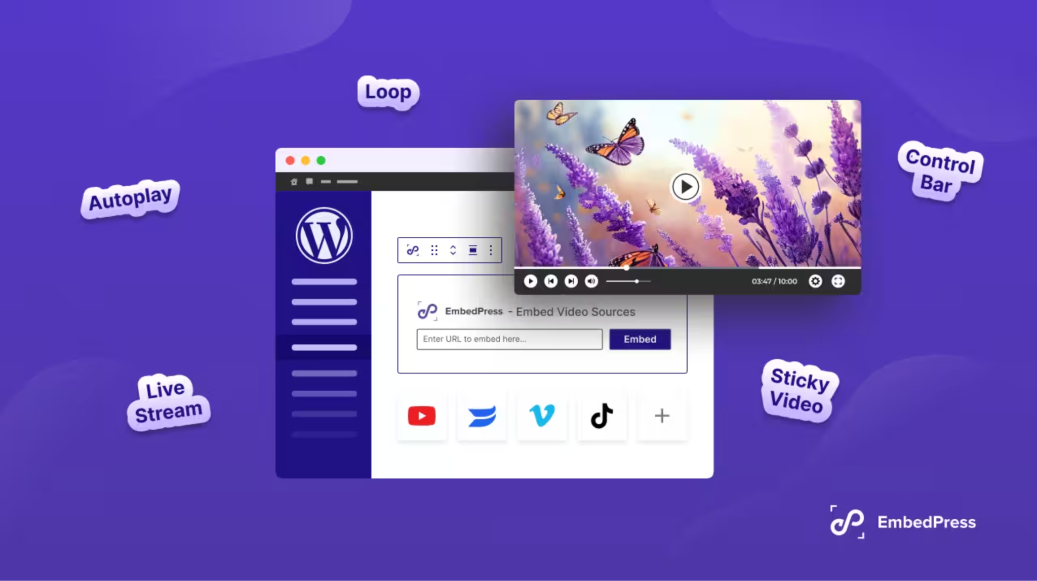 What Is in EmbedPress PRO? A Complete Guide to Every Feature And Use Case 2 YouTube Control